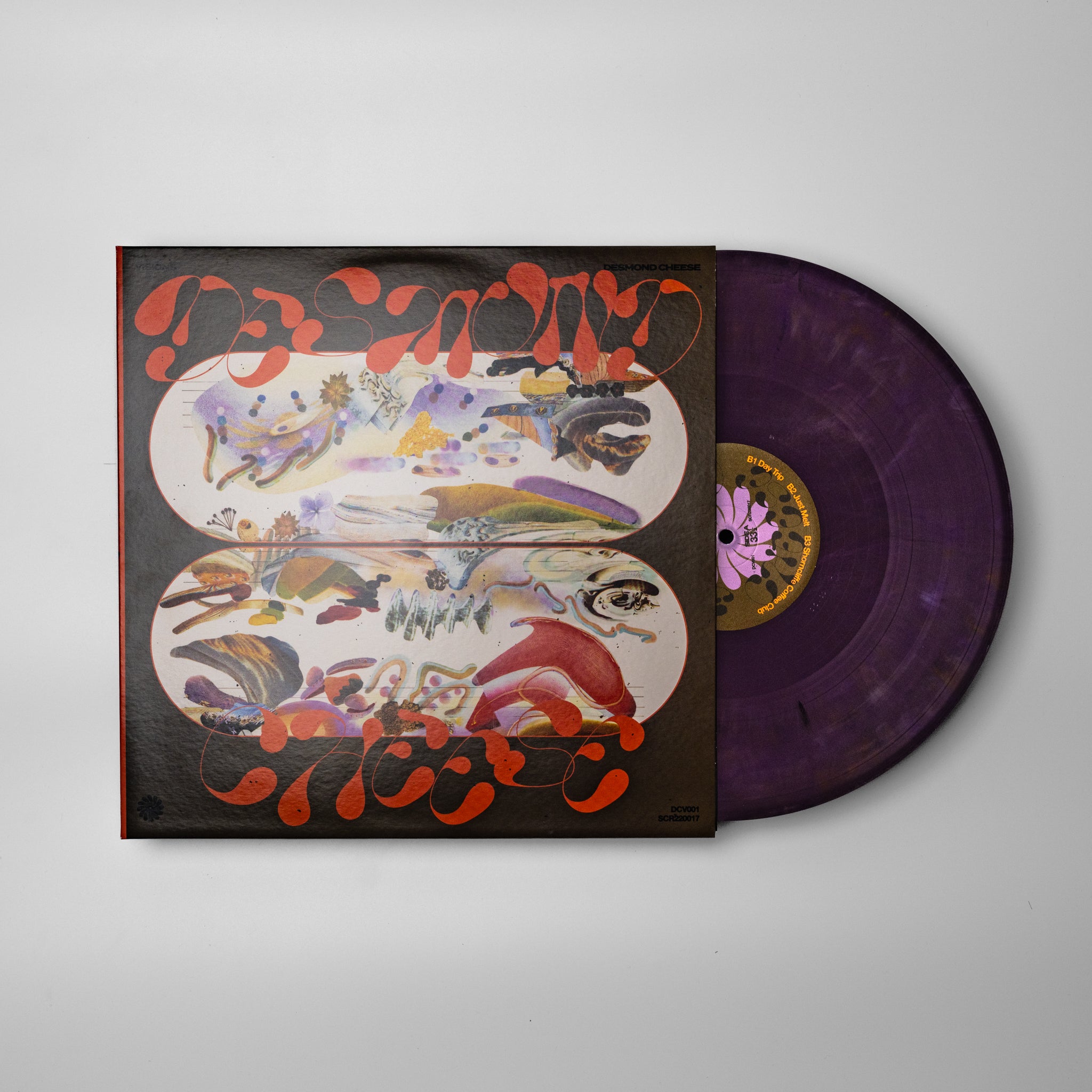 Visions - 12" Vinyl Record